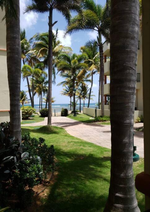 1St Level Unit Steps To Beach- Cold Air Conditioner At Poza Del Mar Luquillo Ngoại thất bức ảnh